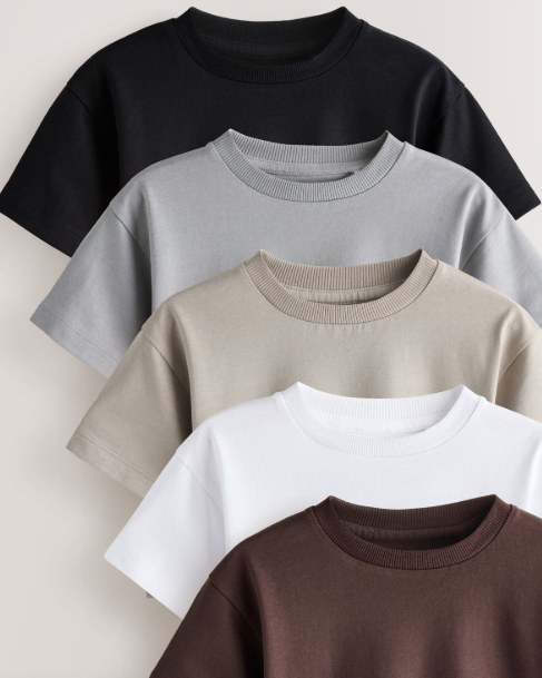 Five crew-neck T-shirts stacked in black, gray, stone, white and brown